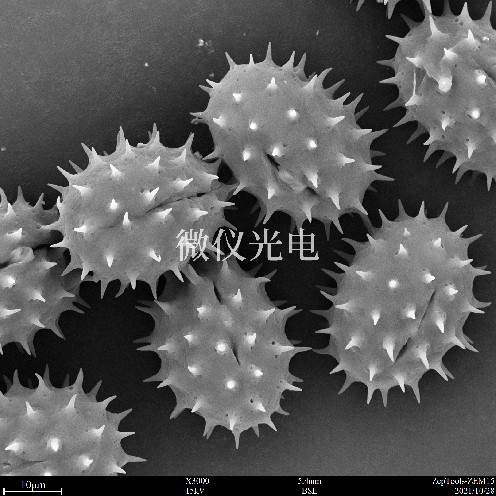 台式扫描电镜在纳米材料中的应用介绍