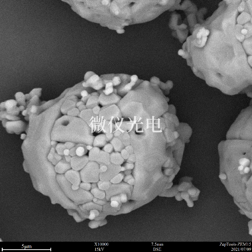 扫描电镜在锂电池电极材料的应用